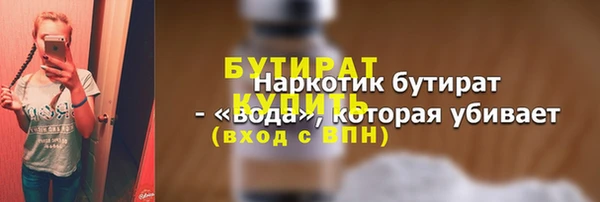 дмт Бородино